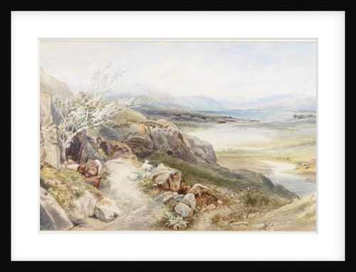 Banks of Locheal, Argyleshire by Thomas Miles II Richardson
