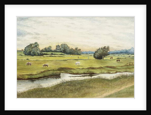 Ryton Meadows by James Henry Cleet