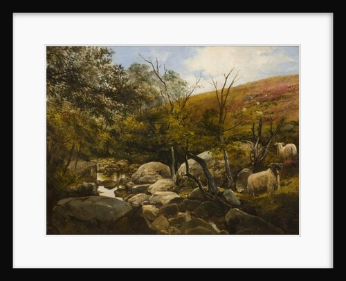On the Black Burn, near Rothbury by Robinson Elliott