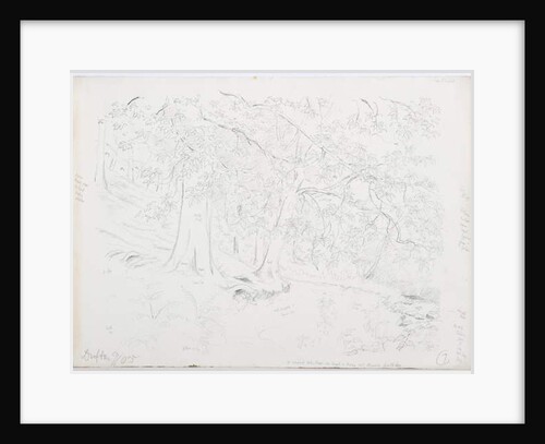 c.1916 by Daniel Oliver