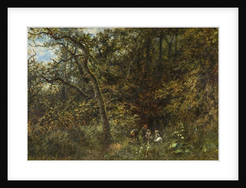 The Young Picknickers by Stannard Hodgson