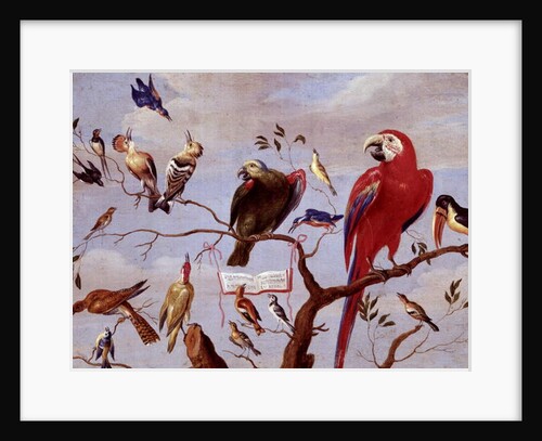 A Chorus of Birds, c.1650-1675 by Jan van the Elder Kessel