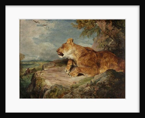 The Lioness, c.1824-27 by John Frederick Lewis