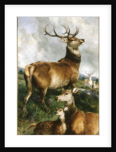 Deer of Chillingham Park, Northumberland, c.1867 by Edwin Landseer