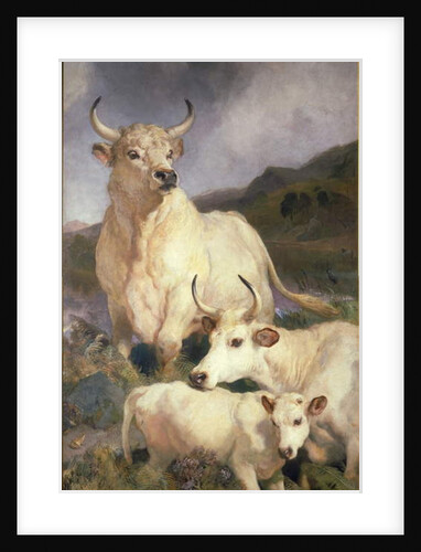 Wild Cattle of Chillingham, Northumberland, c.1867 by Edwin Landseer