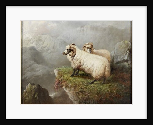 Sheep on a Cliff Edge, c.1865-68 by George Hepper