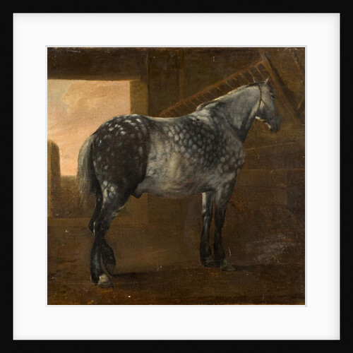 A Dapple Grey Horse by Aelbert Cuyp