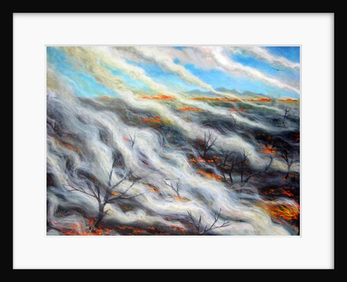 Scorched Earth, 2014, by Tilly Willis