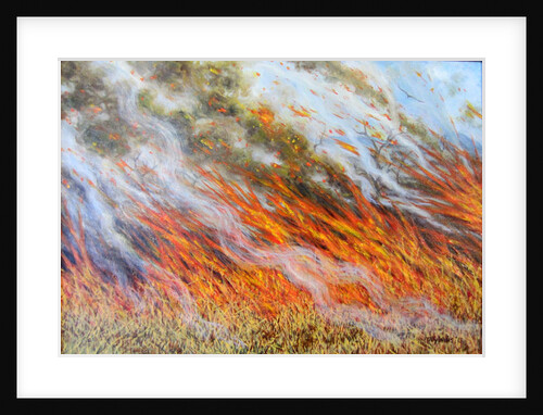 Bushfire Inferno, 2014 by Tilly Willis