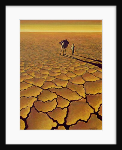 Saharan Journey, 1995 by Tilly Willis