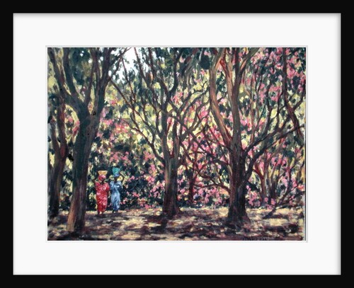 The Cashew Wood, 1998 by Tilly Willis