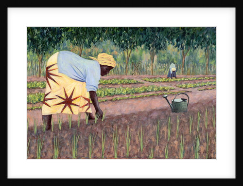 Planting Onions, 2005 by Tilly Willis