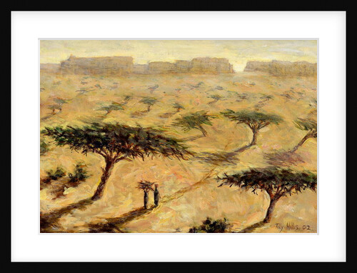 Sahelian Landscape, 2002 by Tilly Willis