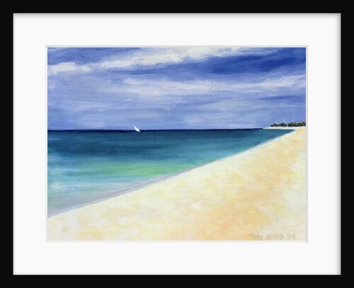 Indian Ocean II, 1995 by Tilly Willis
