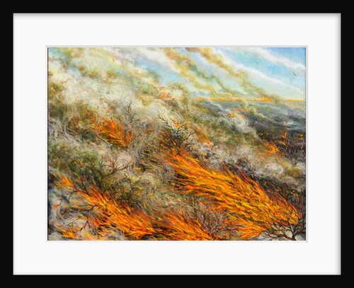 Blaze, 2016 by Tilly Willis