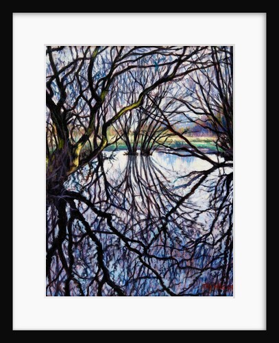 Pond Reflections, 2009 by Tilly Willis