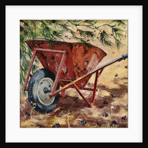 Rusty Wheelbarrow, 2009 by Tilly Willis