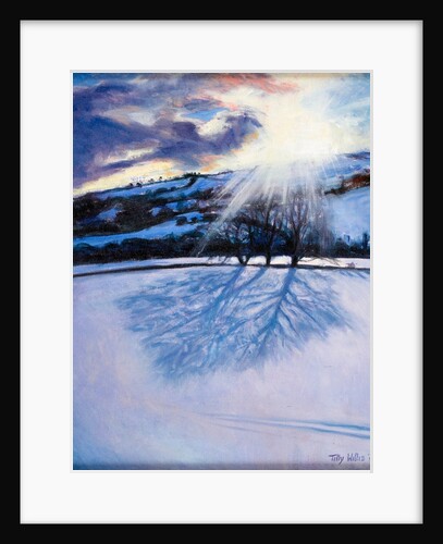 Snow Shadows, 2009 by Tilly Willis