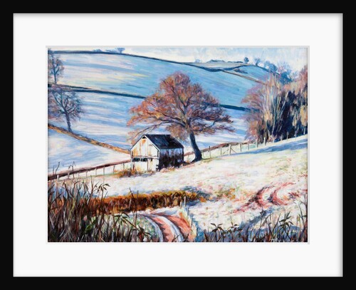 Winter Frost, 2009 by Tilly Willis