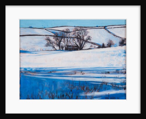 Snow Shadows, 2010 by Tilly Willis