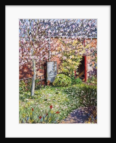 Under the Magnolia by Tilly Willis