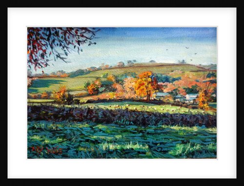 Autumn Light by Tilly Willis