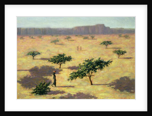 Sahelian Landscape, Mali, 1991 by Tilly Willis