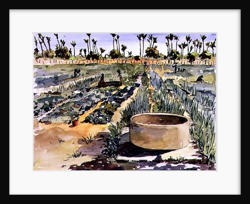 The Women's Garden, Senegal, West Africa, 1997 by Tilly Willis
