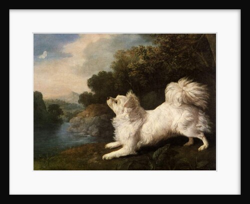 Spaniel belonging to painter Cosway chasing a butterfly, 1775 by George Stubbs