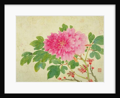 Painting of Peonies by Yu Jiang