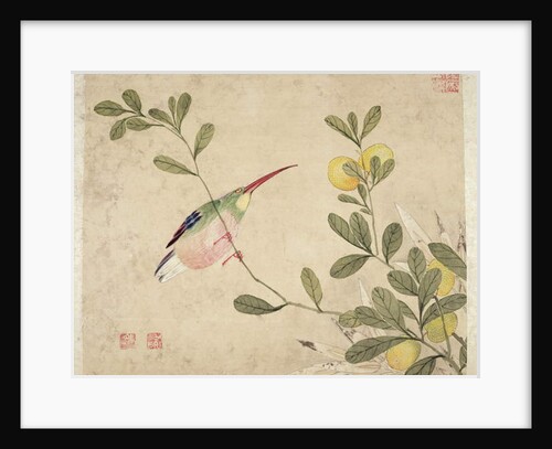 One of a series of paintings of birds and fruit, late 19th century by Guochen Wang