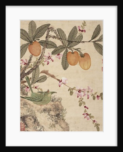 One of a series of paintings of birds and fruit, late 19th century by Guochen Wang