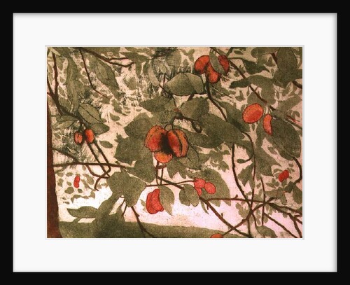 Plums by Valerie Daniel