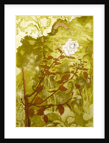 Rose by Valerie Daniel