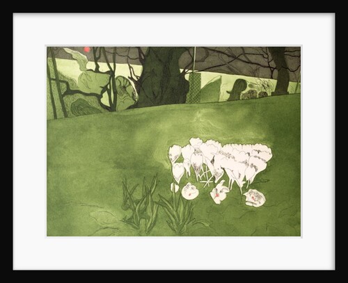 Crocus by Valerie Daniel