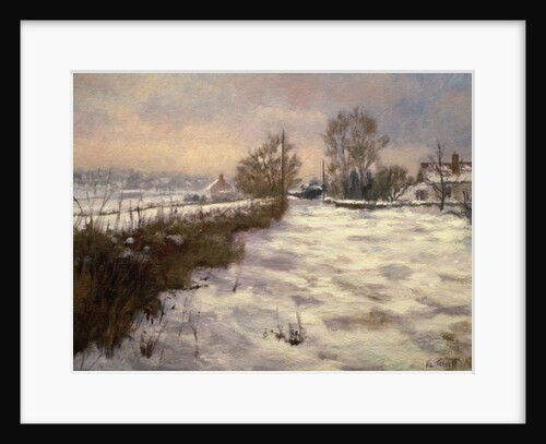 January Fall by Vic Trevett