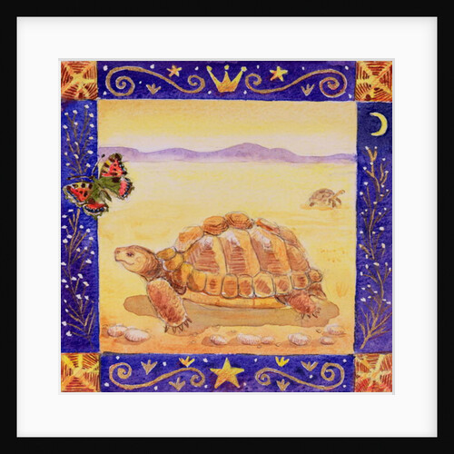 Tortoise, 1998 by Vivika Alexander