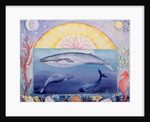 Whales by Vivika Alexander