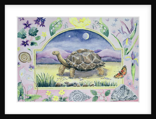 Giant Tortoise by Vivika Alexander