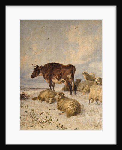 Cows and Sheep in Snowscape, 1864 by Thomas Sidney Cooper