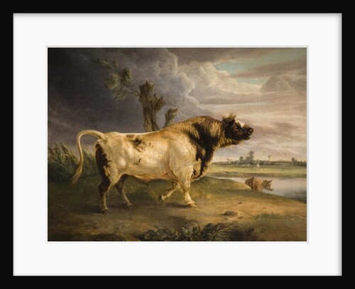 A Prize Bull by Edmund Bristow