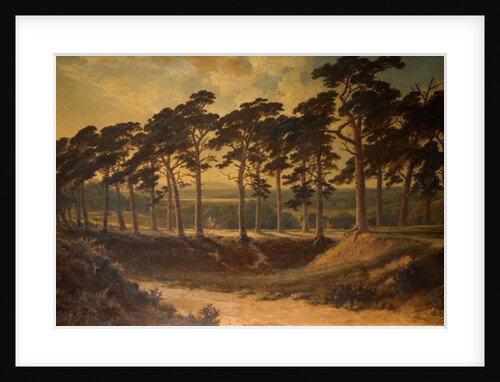 Harrow from the First, Hampstead Heath, 1875 by Edmund John Niemann