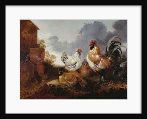 Poultry in a farmyard by Abraham van (attr. to) Calraet