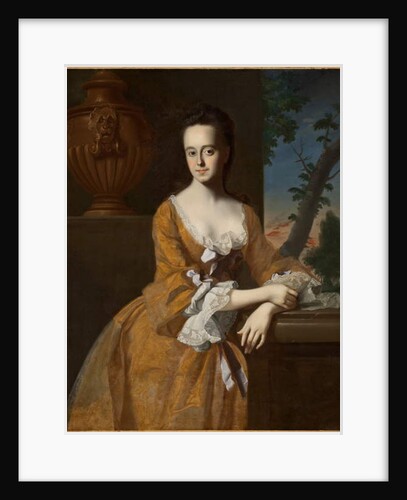 Mrs John Murray, 1763 by John Singleton Copley