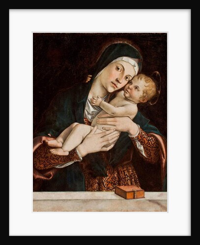 The Virgin and Child by Bartolomeo Montagna