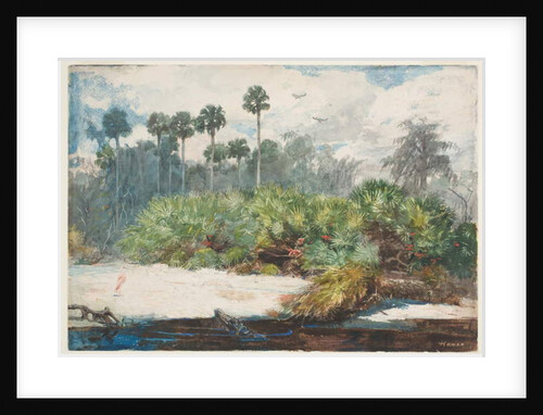 In a Florida Jungle by Winslow Homer