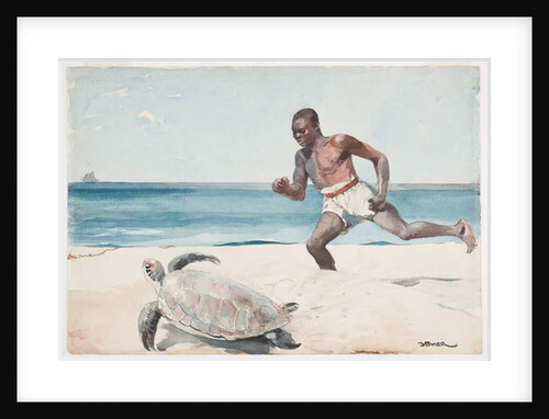 Rum Cay by Winslow Homer