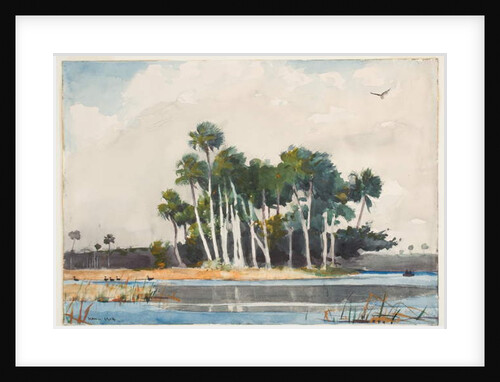 The Turkey Buzzard by Winslow Homer