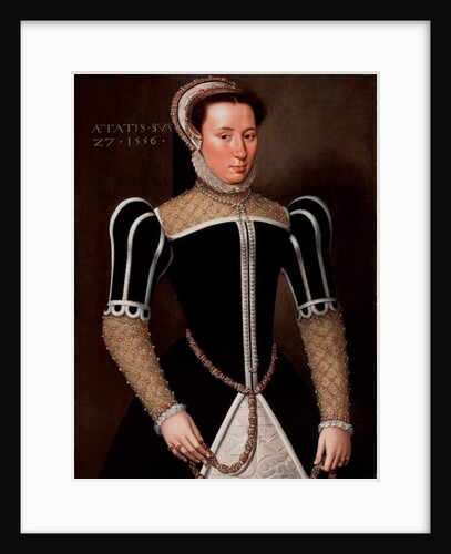 Portrait of a Woman, 1556 by Flemish School