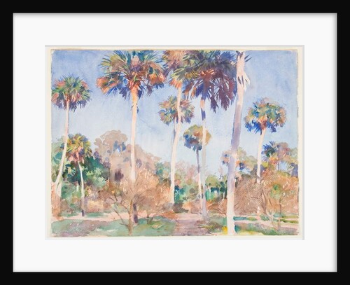 Palms, 1917 by John Singer Sargent